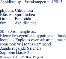 Aspidisca sp.; Veenkampen juli 2013