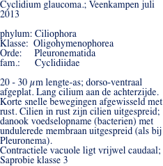 Cyclidium glaucoma.; Veenkampen juli 2013