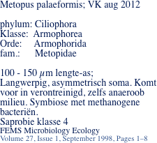 Metopus palaeformis; VK aug 2012