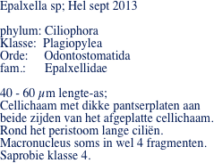 Epalxella sp; Hel sept 2013