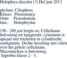 Holophrya discolor (?) Hel juni