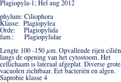 Plagiopyla-1; Hel aug 2012